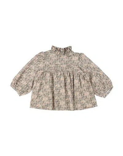 Bonpoint Babies'  Toddler Girl Top Sage Green Size 6 Cotton In Brown