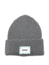 Bonsai Logo Ribbed Beanie Hat In Gray