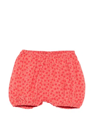 Bonton Babies' Floral-print Bloomer Shorts In Red