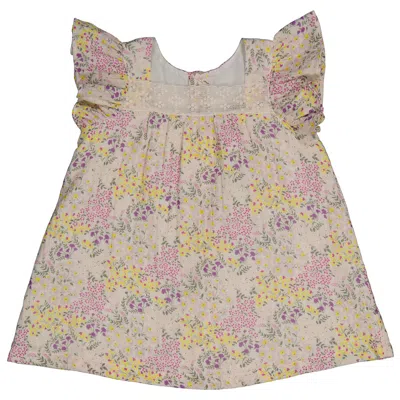 Bonton Girls Flower Prairie Ditsy Floral Flutter Sleeve Dress In Multi