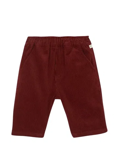 Bonton Babies' Lucky Corduroy Trousers In Brown