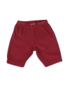 Bonton Newborn Girl Pants Burgundy Size 3 Cotton In Red