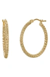 Bony Levy 14k Gold Medium Beaded Hoop Earrings In 14k Yellow Gold
