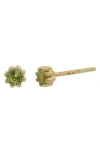 Bony Levy Color Stud Earrings In Gold
