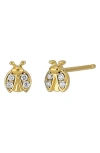 Bony Levy Icon Diamond Bug Stud Earrings In Gold