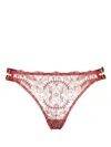 Shop Bordelle Cymatic Sheer-lace Thong In Red