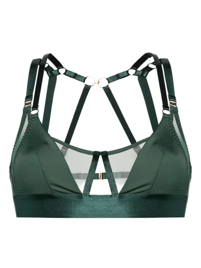 Bordelle Vero Embroidered Bra In Green