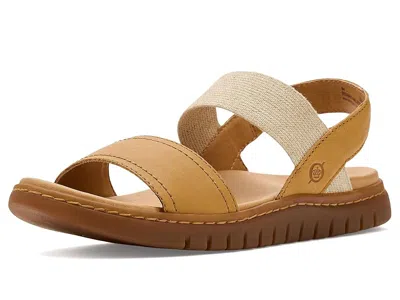 Born Amabel In Brown