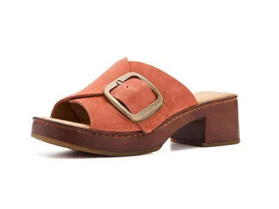 Born Bangle In Multi