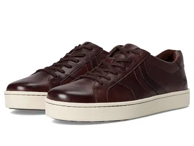 Born Beck Tie In Brown