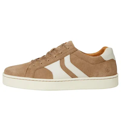 Born Beck Tie Taupe Bm0021155 Men's In Brown