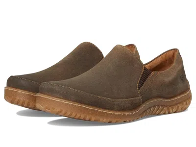 Born Breck In Brown
