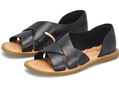 Born Ithica In Multi