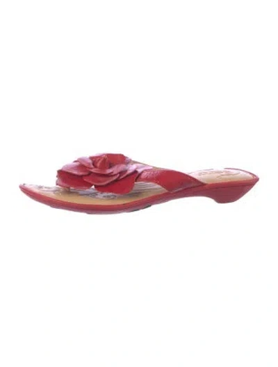 Pre-owned Born Leather Floral Print Flip Flops In Red