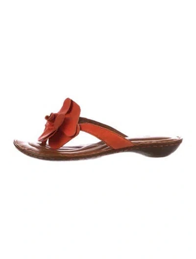 Pre-owned Born Leather Ruffle Embellishment Slides In Orange