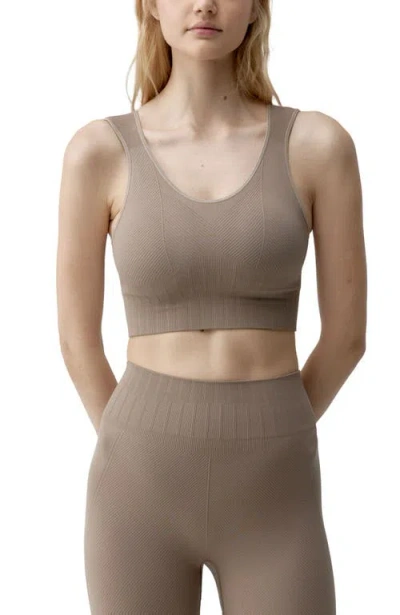 Born Living Yoga Annapurna Medium-support Seamless Sports Top In Brown