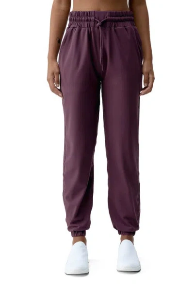 Born Living Yoga Camille Performance Sport Jogger In Purple