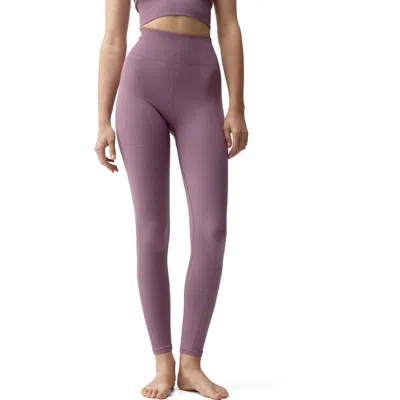 Born Living Yoga India Seamless High Rise Sport Legging In Purple