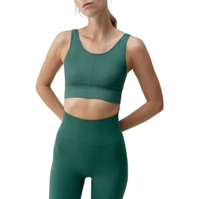 Born Living Yoga Naisha Medium Support Seamless Sport Top In Green