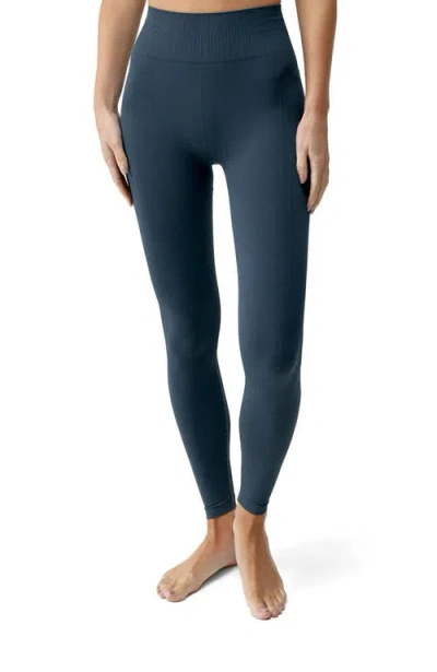 Born Living Yoga Nawal Seamless High Rise Sport Legging In Gray
