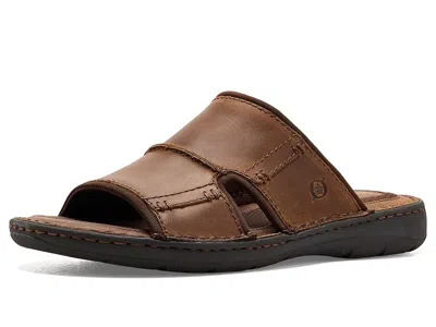 Born Maldon In Brown