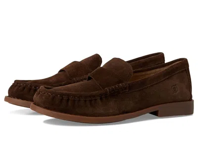 Born Maris High In Brown