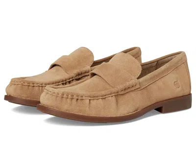 Born Maris High In Brown