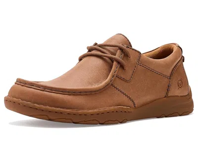 Born Samson In Brown