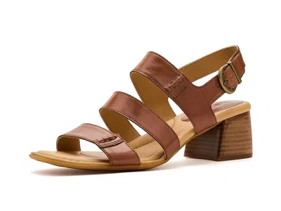 Born Secan In Brown