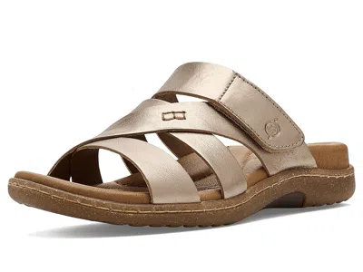 Born Shawna In Multi