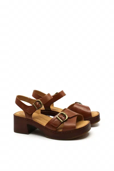 Born Women's Bella Sandal In Dark Tan In Multi