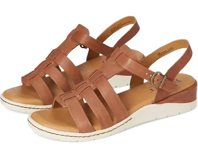 Born Women's Marni Sandals In Brown
