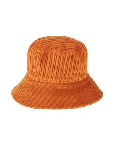 Borsalino Hat Camel Size S Cotton In Orange