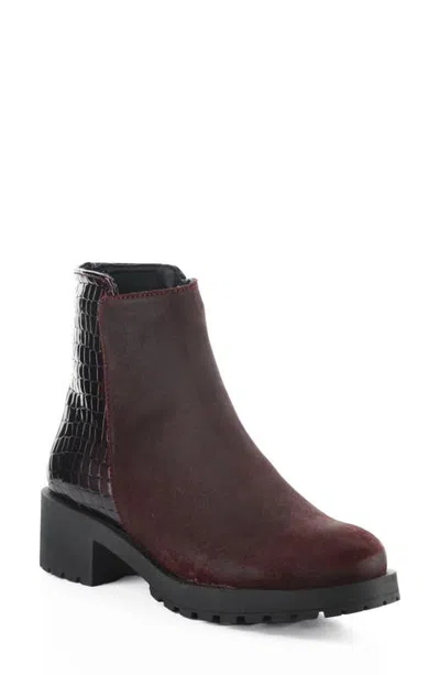 Bos. & Co. Alize Leather Bootie In Brown
