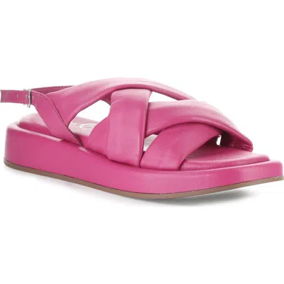 Bos. & Co. Brixin Slingback Platform Wedge Sandal In Pink