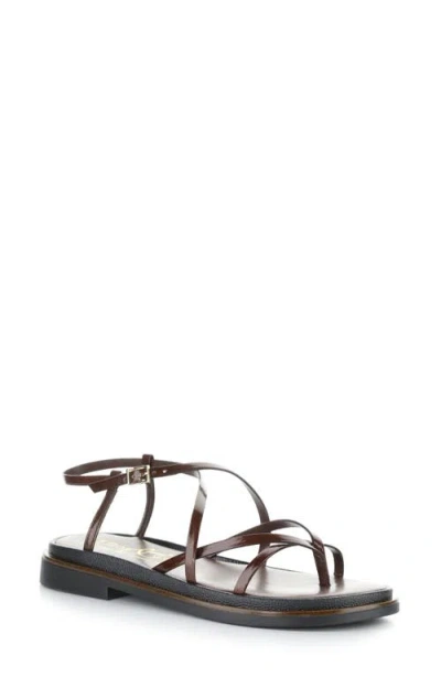 Bos. & Co. Cassia Ankle Strap Platform Sandal In Brown