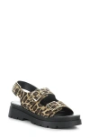 Bos. & Co. Cipher Slingback Platform Sandal In Leopard