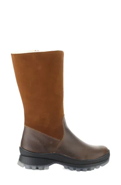 Bos. & Co. Doro Tall Boot In Brown