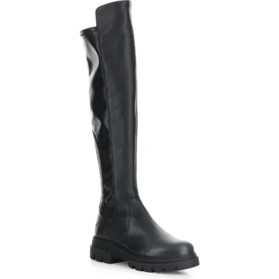 Bos. & Co. Fifth Waterproof Knee High Boot In Black