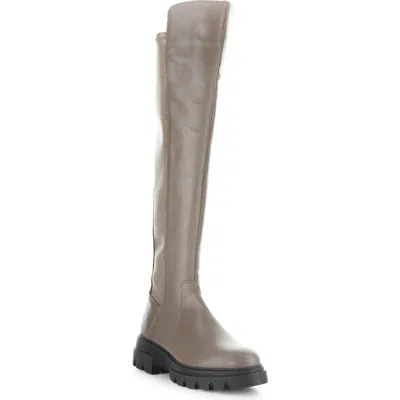 Bos. & Co. Fifth Waterproof Knee High Boot In Neutral