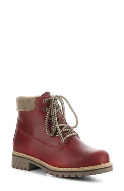 Bos. & Co. Hartt Waterproof Boot In Burgundy