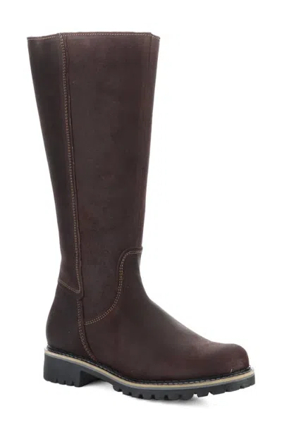 Bos. & Co. Hudson Waterproof Boot In Brown