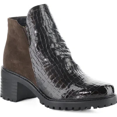 Bos. & Co. Inara Bootie In Purple