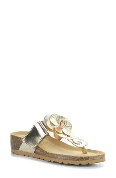 Bos. & Co. Laria Platform Wedge Flip Flop In Gold