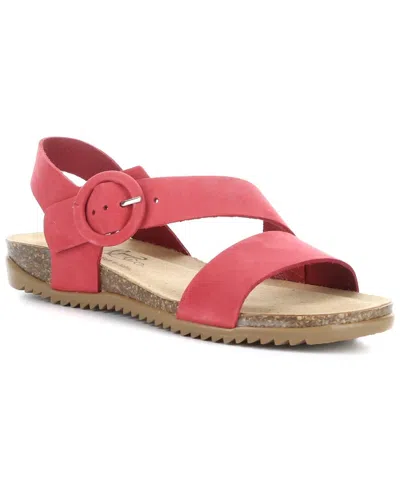 Bos. & Co. Lavis Asymmetric Slingback Sandal In Coral Nubuck
