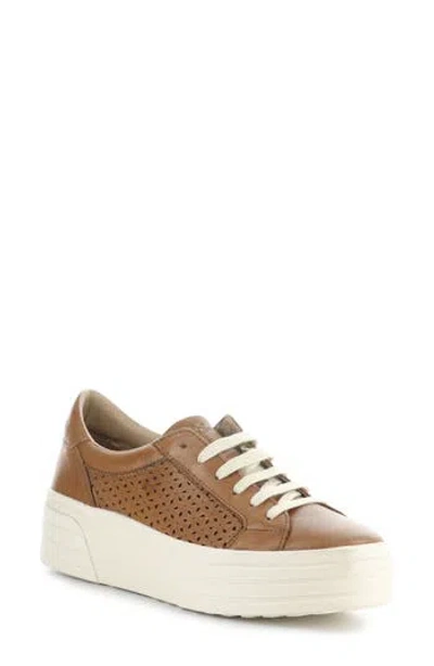 Bos. & Co. Lotta Platform Sneaker In Brown