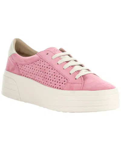 Bos. & Co. Lotta Suede Shoe In Pink