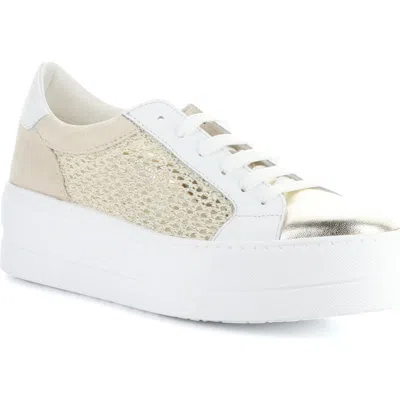 Bos. & Co. Marlo Platform Sneaker In Gold/white