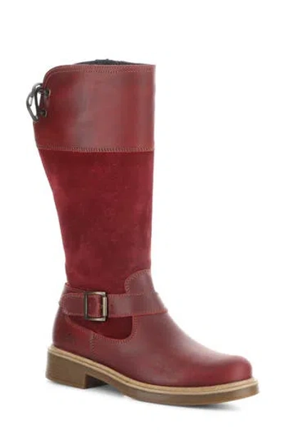 Bos. & Co. Mateo Waterproof Knee High Boot In Burgundy