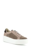 Bos. & Co. Maude Platform Sneaker In Taupe/ Almondine